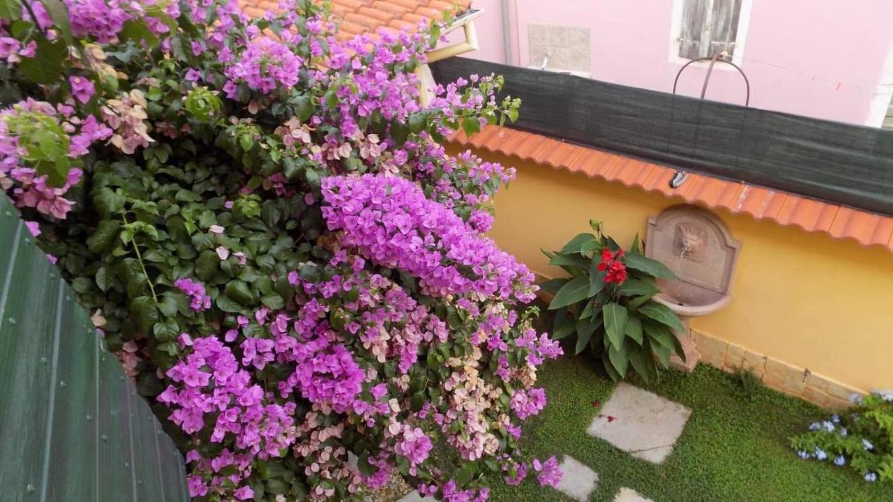 House Justina Villa Zadar Luaran gambar