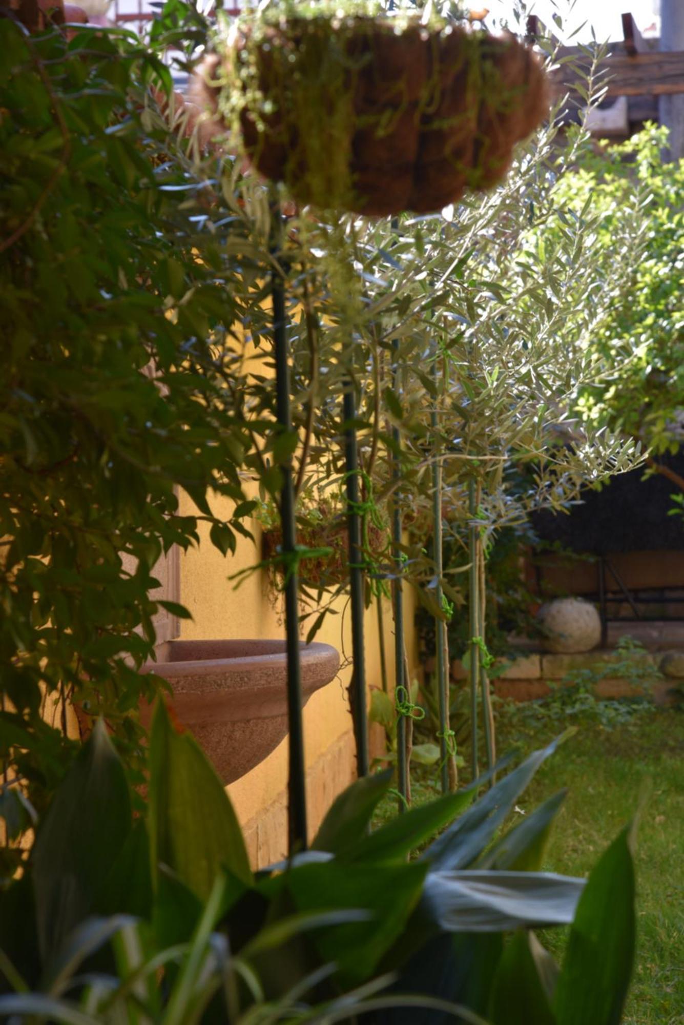 House Justina Villa Zadar Luaran gambar