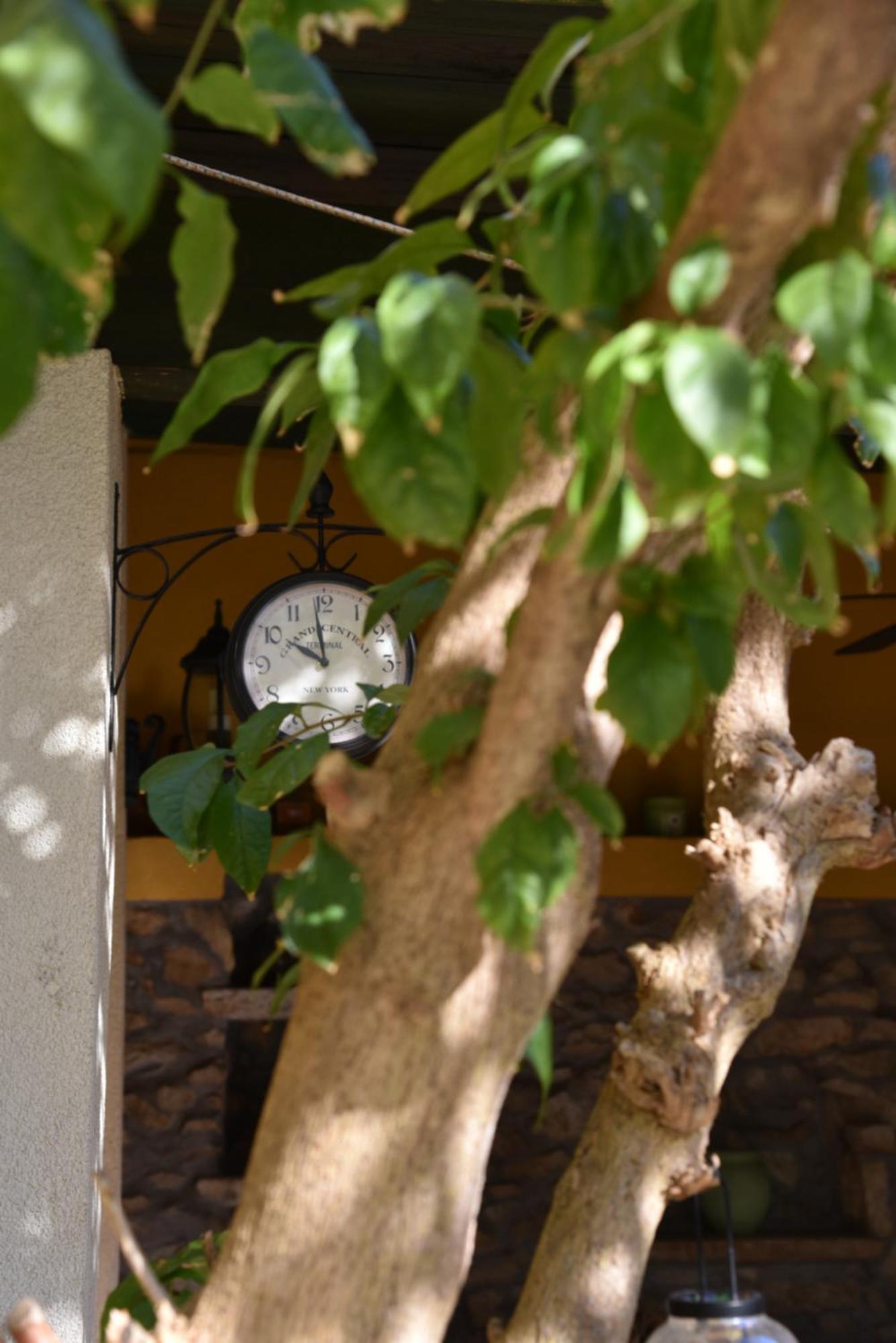 House Justina Villa Zadar Luaran gambar